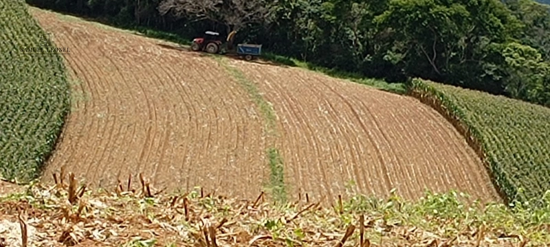 Fazenda à venda com 415h: 1ª foto da galeria de imagens do imóvel