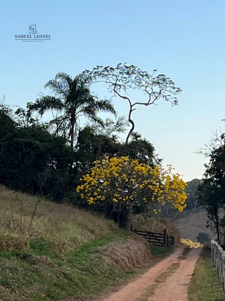 Fazenda à venda com 415h: 8ª foto da galeria de imagens do imóvel