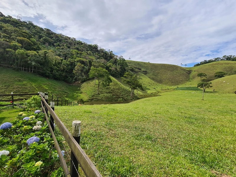 Fazenda de 78Ha. Para gado de corte com pouca benfeitoria a venda em Maripa de Minas MG por 2.790.000,00: 13ª foto da galeria de imagens do imóvel