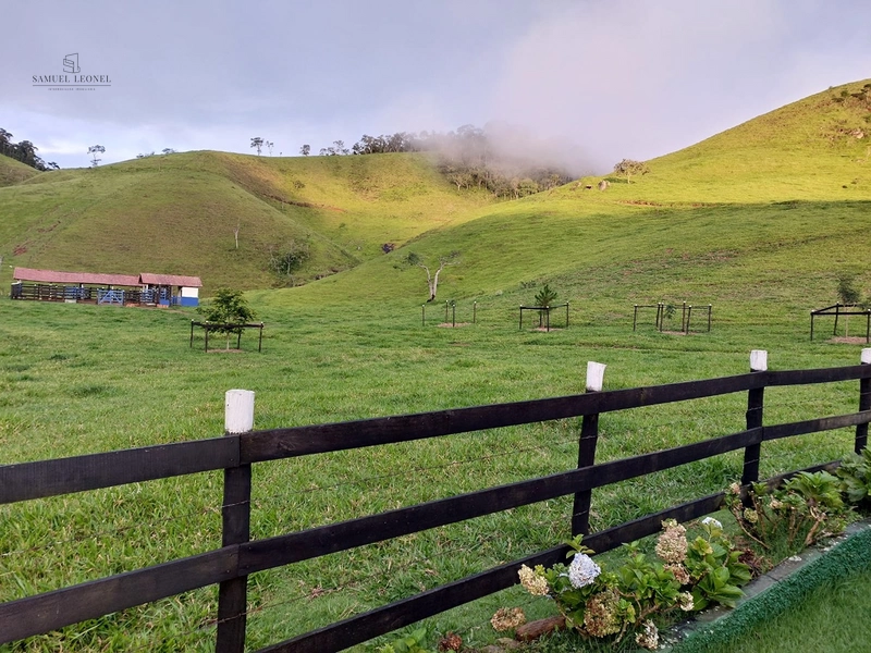 Fazenda de 78Ha. Para gado de corte com pouca benfeitoria a venda em Maripa de Minas MG por 2.790.000,00: 6ª foto da galeria de imagens do imóvel