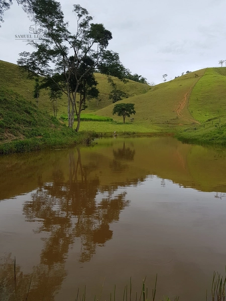 Fazenda de 78Ha. Para gado de corte com pouca benfeitoria a venda em Maripa de Minas MG por 2.790.000,00: 31ª foto da galeria de imagens do imóvel