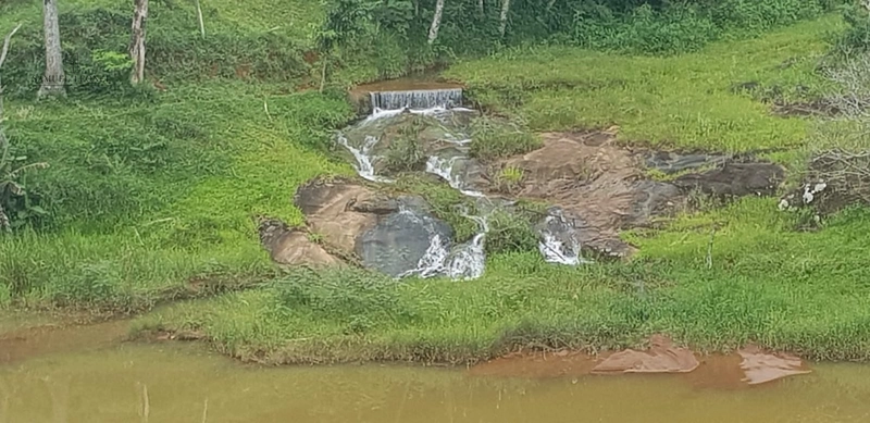 Fazenda de 78Ha. Para gado de corte com pouca benfeitoria a venda em Maripa de Minas MG por 2.790.000,00: 14ª foto da galeria de imagens do imóvel