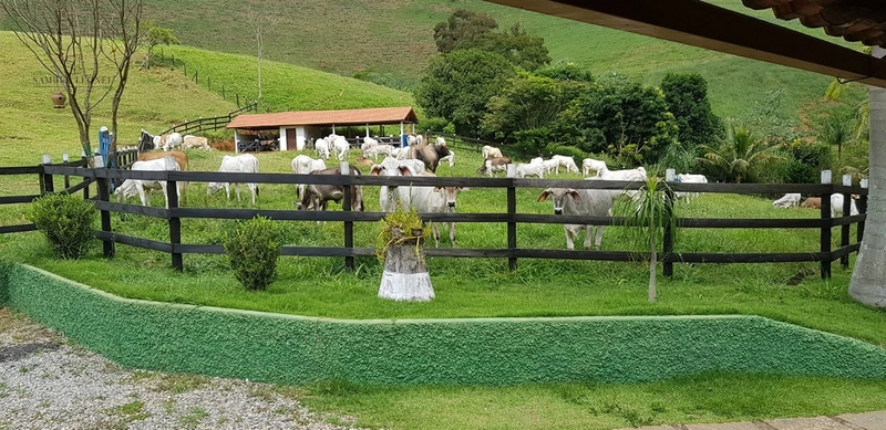Fazenda de 78Ha. Para gado de corte com pouca benfeitoria a venda em Maripa de Minas MG por 2.790.000,00: 19ª foto da galeria de imagens do imóvel