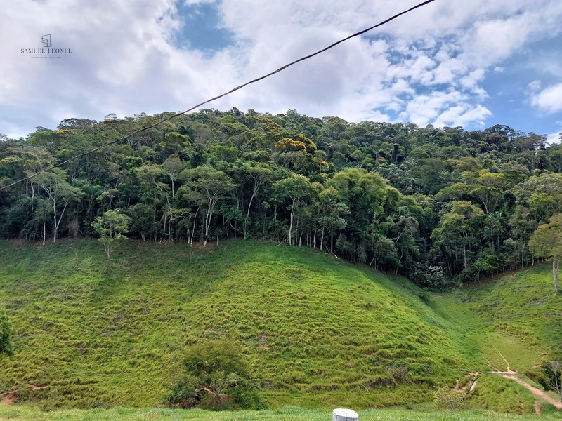 Fazenda de 78Ha. Para gado de corte com pouca benfeitoria a venda em Maripa de Minas MG por 2.790.000,00: 8ª foto da galeria de imagens do imóvel