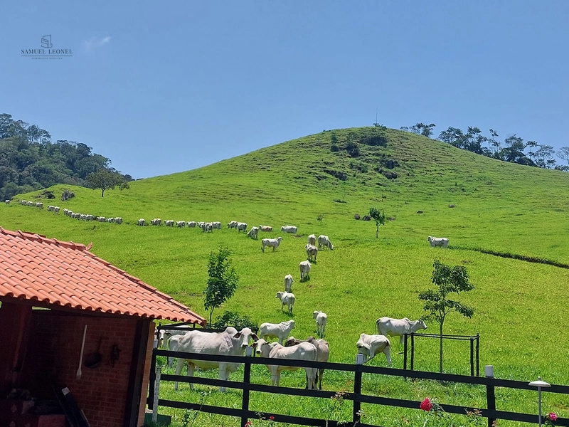 Fazenda de 78Ha. Para gado de corte com pouca benfeitoria a venda em Maripa de Minas MG por 2.790.000,00: 3ª foto da galeria de imagens do imóvel