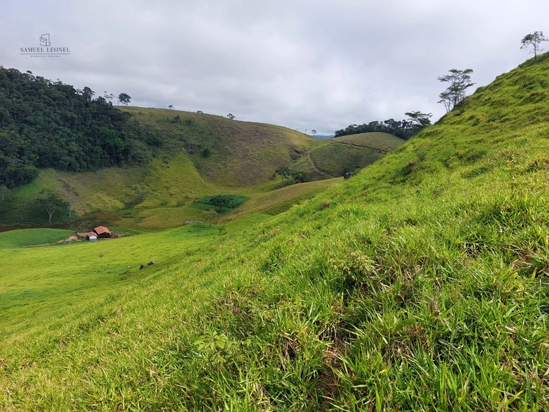 Fazenda de 78Ha. Para gado de corte com pouca benfeitoria a venda em Maripa de Minas MG por 2.790.000,00: 23ª foto da galeria de imagens do imóvel