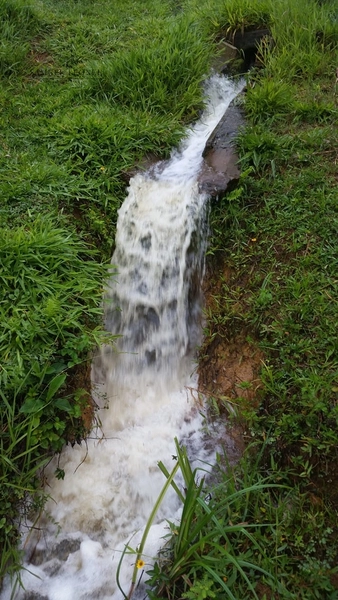 Fazenda de 78Ha. Para gado de corte com pouca benfeitoria a venda em Maripa de Minas MG por 2.790.000,00: 26ª foto da galeria de imagens do imóvel