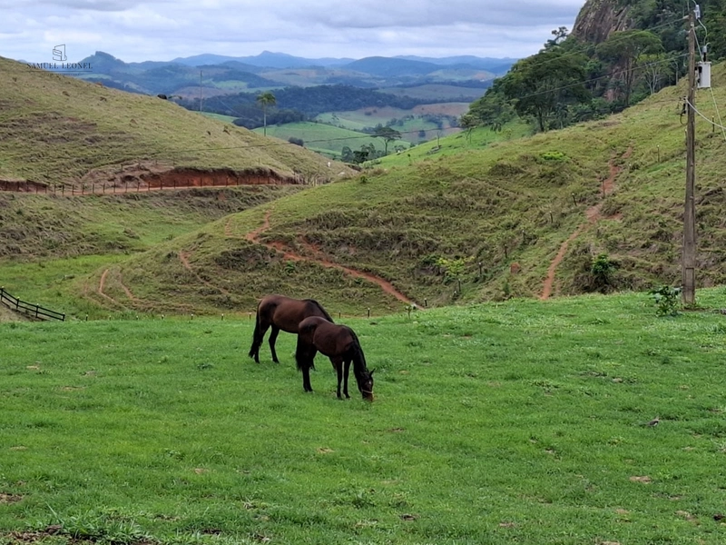 Fazenda de 78Ha. Para gado de corte com pouca benfeitoria a venda em Maripa de Minas MG por 2.790.000,00: 20ª foto da galeria de imagens do imóvel