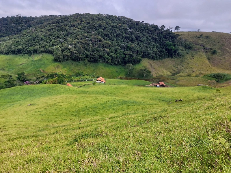Fazenda de 78Ha. Para gado de corte com pouca benfeitoria a venda em Maripa de Minas MG por 2.790.000,00: 9ª foto da galeria de imagens do imóvel