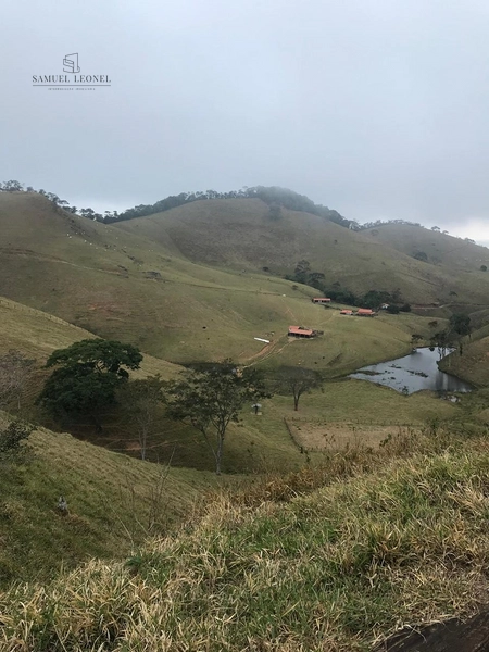 Fazenda de 78Ha. Para gado de corte com pouca benfeitoria a venda em Maripa de Minas MG por 2.790.000,00: 34ª foto da galeria de imagens do imóvel