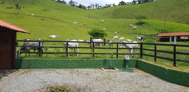 Fazenda de 78Ha. Para gado de corte com pouca benfeitoria a venda em Maripa de Minas MG por 2.790.000,00: 17ª foto da galeria de imagens do imóvel