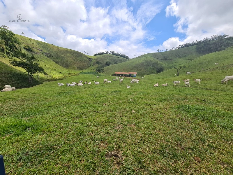 Fazenda de 78Ha. Para gado de corte com pouca benfeitoria a venda em Maripa de Minas MG por 2.790.000,00: 24ª foto da galeria de imagens do imóvel