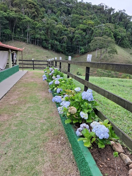 Fazenda de 78Ha. Para gado de corte com pouca benfeitoria a venda em Maripa de Minas MG por 2.790.000,00: 27ª foto da galeria de imagens do imóvel
