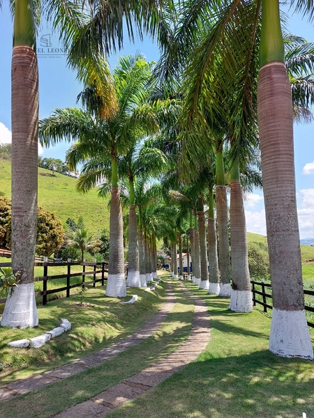 Fazenda de 78Ha. Para gado de corte com pouca benfeitoria a venda em Maripa de Minas MG por 2.790.000,00: 5ª foto da galeria de imagens do imóvel