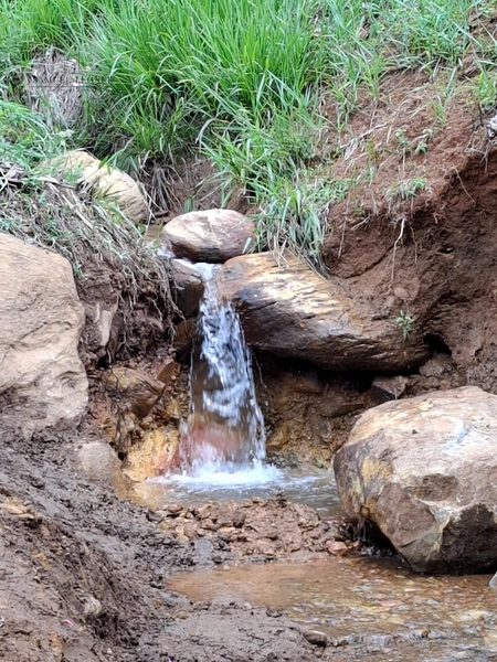 Fazenda de 78Ha. Para gado de corte com pouca benfeitoria a venda em Maripa de Minas MG por 2.790.000,00: 18ª foto da galeria de imagens do imóvel