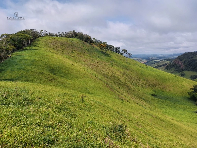 Fazenda de 78Ha. Para gado de corte com pouca benfeitoria a venda em Maripa de Minas MG por 2.790.000,00: 35ª foto da galeria de imagens do imóvel
