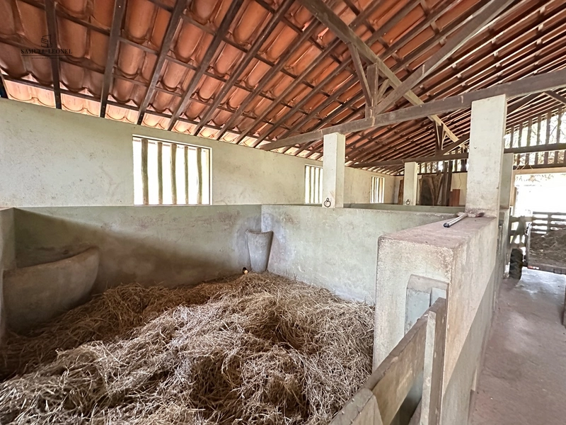Fazenda à venda com benfeitorias próxima a Santana do Deserto: 52ª foto da galeria de imagens do imóvel