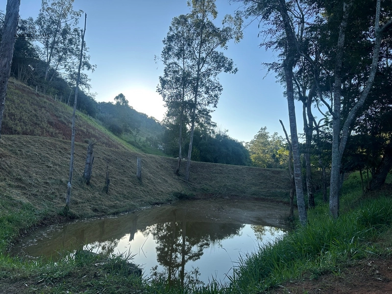 Fazenda à venda com benfeitorias próxima a Santana do Deserto: 27ª foto da galeria de imagens do imóvel