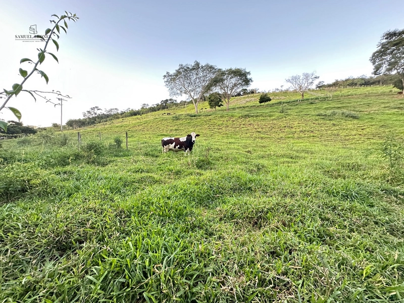 Fazenda à venda com benfeitorias próxima a Santana do Deserto: 42ª foto da galeria de imagens do imóvel