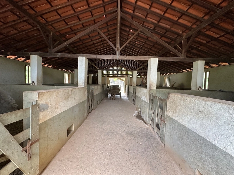 Fazenda à venda com benfeitorias próxima a Santana do Deserto: 53ª foto da galeria de imagens do imóvel