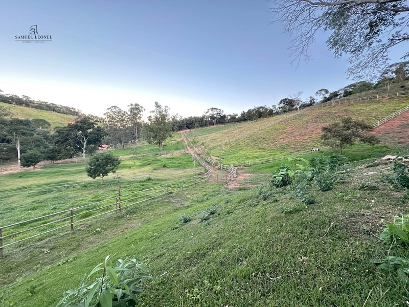 Fazenda à venda com benfeitorias próxima a Santana do Deserto: 14ª foto da galeria de imagens do imóvel