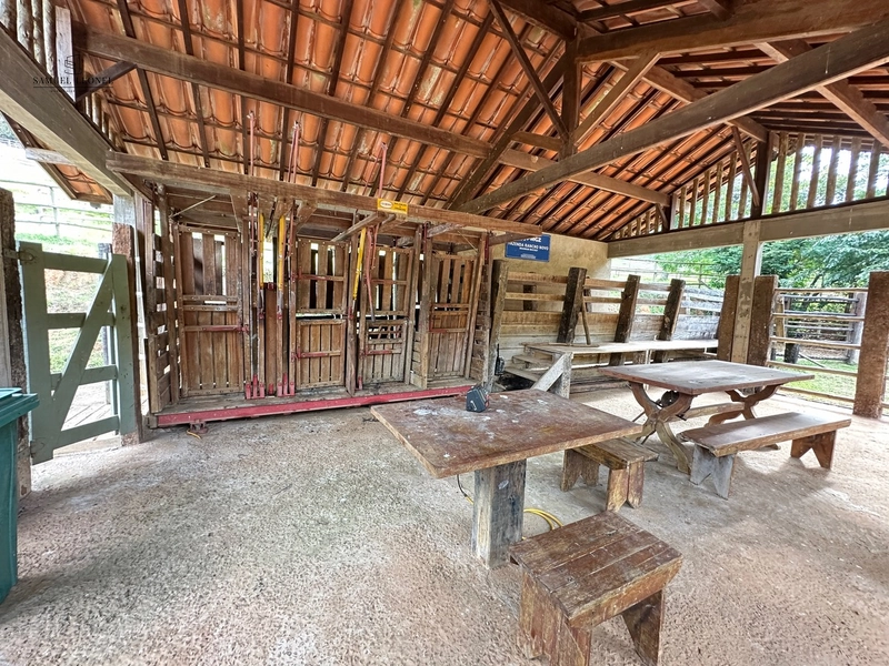 Fazenda à venda com benfeitorias próxima a Santana do Deserto: 59ª foto da galeria de imagens do imóvel