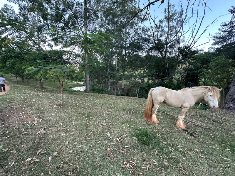 Fazenda à venda com benfeitorias próxima a Santana do Deserto: 1ª foto da galeria de imagens do imóvel