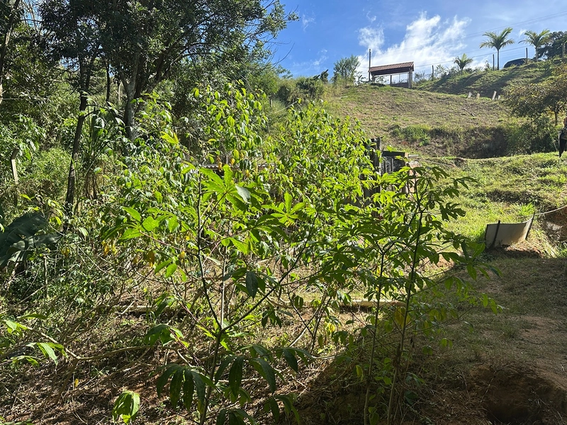 Granja com Açude e terreno de 3280m2 com piscina e obra inacabada à venda por 230.000,00: 13ª foto da galeria de imagens do imóvel