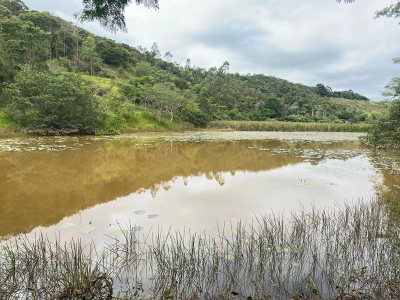 Chácara de 4497m2 com casa de dois quartos piscina e pastagem para criação de animais de estimação a venda por 249.000,00: 26ª foto da galeria de imagens do imóvel