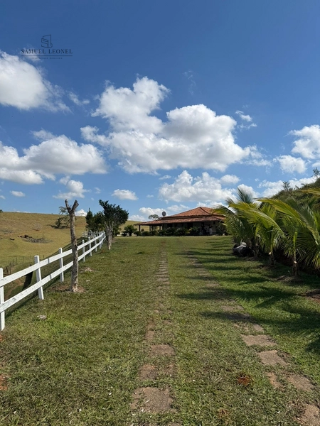 Sítio de 10 hectares para venda na Cidade de Rio Novo MG : 12ª foto da galeria de imagens do imóvel