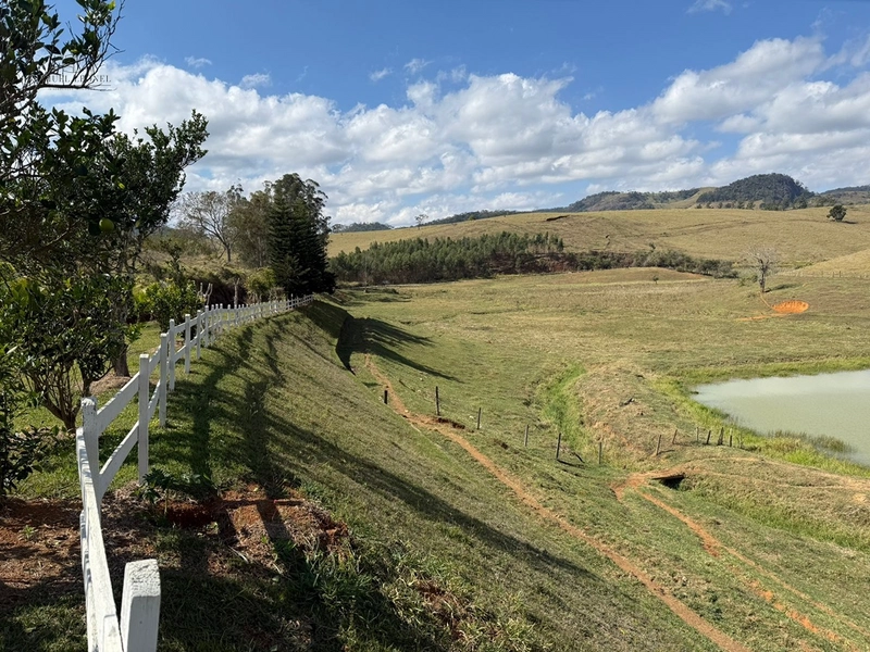 Sítio de 10 hectares para venda na Cidade de Rio Novo MG : 9ª foto da galeria de imagens do imóvel