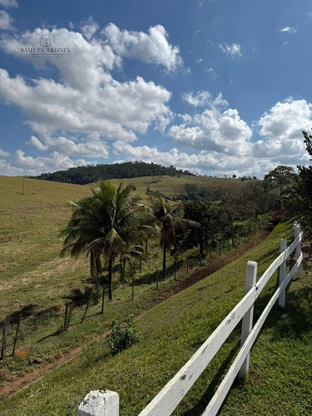 Sítio de 10 hectares para venda na Cidade de Rio Novo MG : 14ª foto da galeria de imagens do imóvel