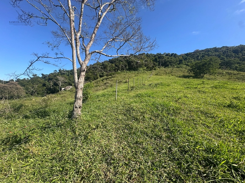 Fazenda de 64Ha. A venda na divisa de chácara e Juiz de Fora, acessível pela BR 267 , com apenas 3,5km estrada terra, por 2.190.000,00.: 28ª foto da galeria de imagens do imóvel