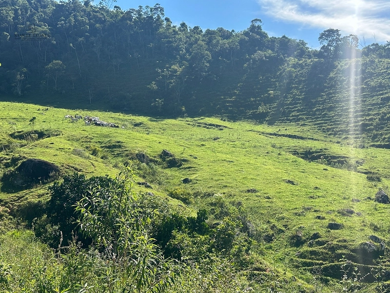 Fazenda de 64Ha. A venda na divisa de chácara e Juiz de Fora, acessível pela BR 267 , com apenas 3,5km estrada terra, por 2.190.000,00.: 11ª foto da galeria de imagens do imóvel