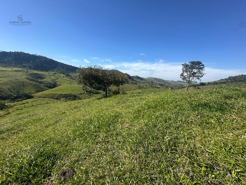 Fazenda de 64Ha. A venda na divisa de chácara e Juiz de Fora, acessível pela BR 267 , com apenas 3,5km estrada terra, por 2.190.000,00.: 31ª foto da galeria de imagens do imóvel