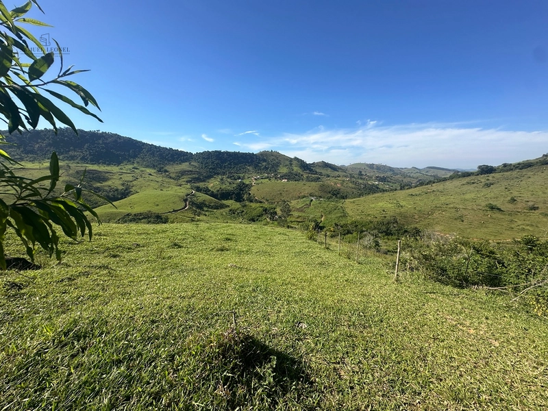 Fazenda de 64Ha. A venda na divisa de chácara e Juiz de Fora, acessível pela BR 267 , com apenas 3,5km estrada terra, por 2.190.000,00.: 23ª foto da galeria de imagens do imóvel
