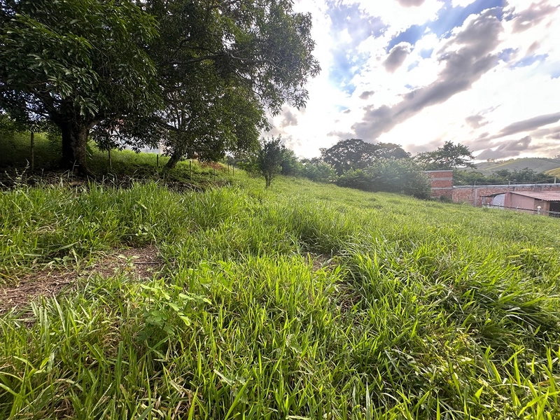 Sítio de 4 quartos com lagoa piscina churasqueira a venda em Juiz de Fora MG: 22ª foto da galeria de imagens do imóvel