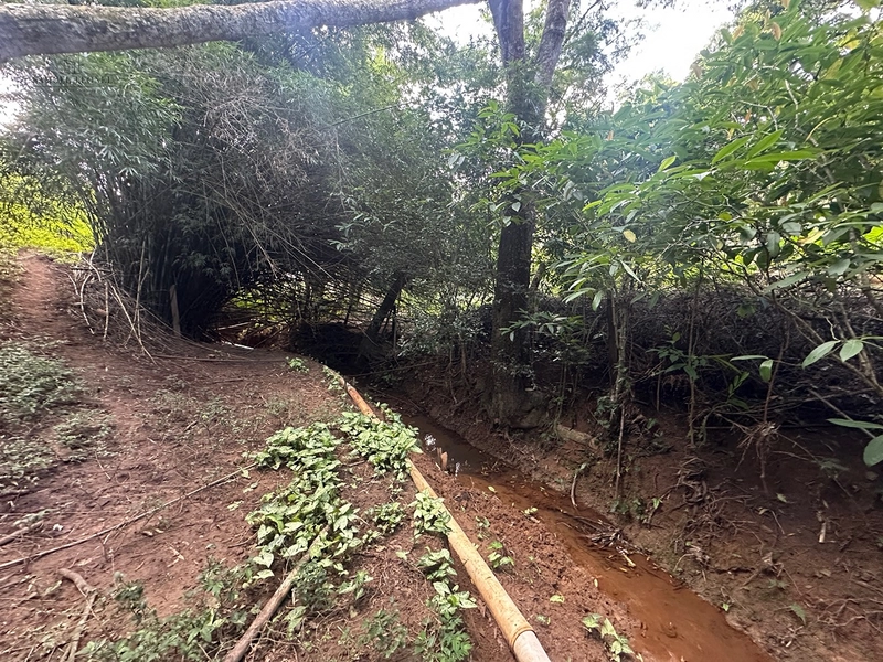 Sítio de 4 quartos com lagoa piscina churasqueira a venda em Juiz de Fora MG: 35ª foto da galeria de imagens do imóvel