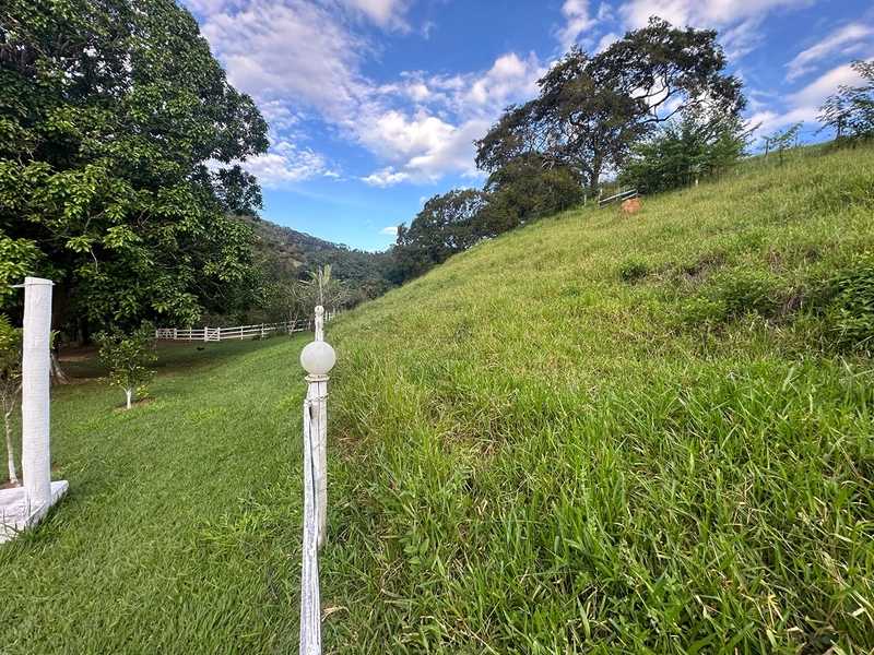 Sítio de 4 quartos com lagoa piscina churasqueira a venda em Juiz de Fora MG: 24ª foto da galeria de imagens do imóvel