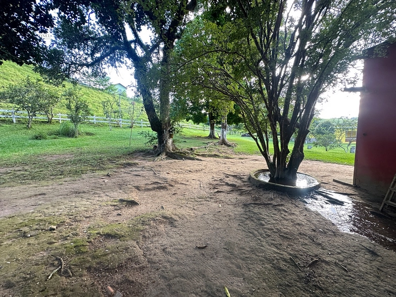 Sítio de 4 quartos com lagoa piscina churasqueira a venda em Juiz de Fora MG: 33ª foto da galeria de imagens do imóvel