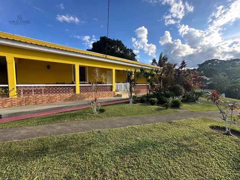 Sítio de 4 quartos com lagoa piscina churasqueira a venda em Juiz de Fora MG: 45ª foto da galeria de imagens do imóvel