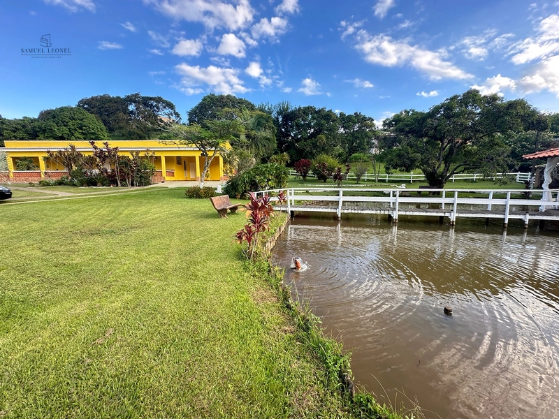Sítio de 4 quartos com lagoa piscina churasqueira a venda em Juiz de Fora MG: 21ª foto da galeria de imagens do imóvel