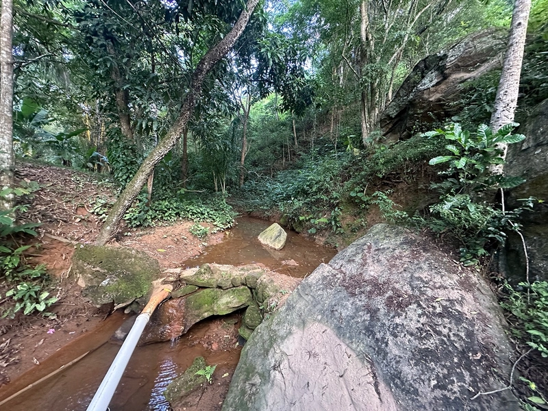 Sítio de 4 quartos com lagoa piscina churasqueira a venda em Juiz de Fora MG: 36ª foto da galeria de imagens do imóvel