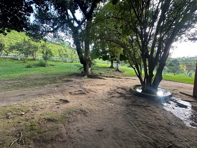 Sítio de 4 quartos com lagoa piscina churasqueira a venda em Juiz de Fora MG: 32ª foto da galeria de imagens do imóvel