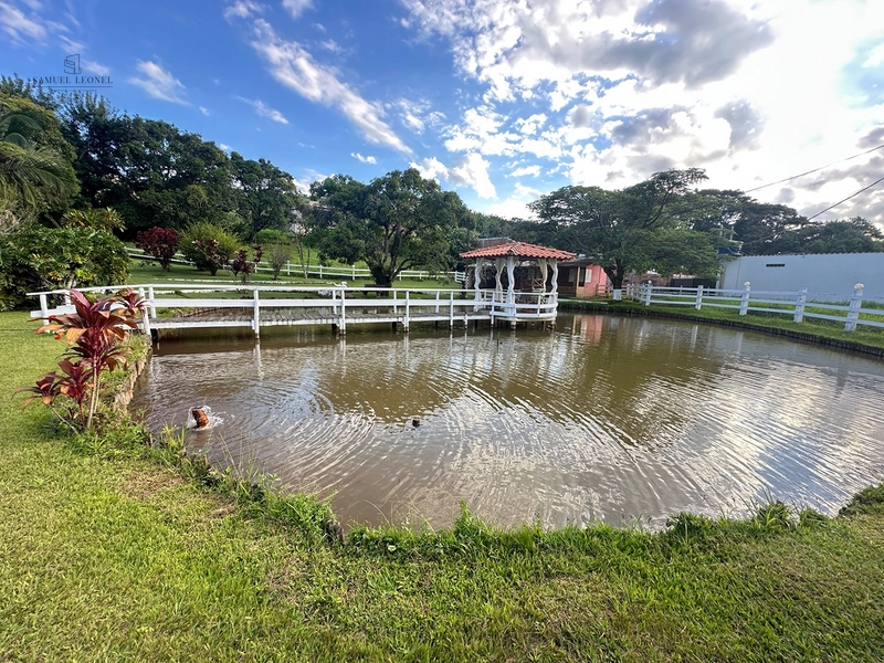 Sítio de 4 quartos com lagoa piscina churasqueira a venda em Juiz de Fora MG: 7ª foto da galeria de imagens do imóvel