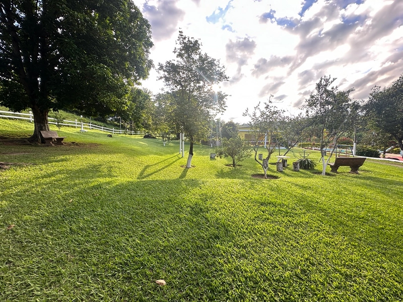 Sítio de 4 quartos com lagoa piscina churasqueira a venda em Juiz de Fora MG: 31ª foto da galeria de imagens do imóvel