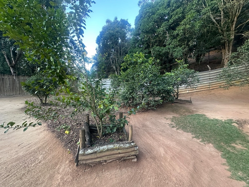 Chácara a venda em Juiz de Fora: 31ª foto da galeria de imagens do imóvel