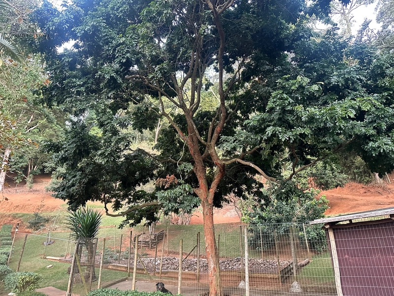 Chácara a venda em Juiz de Fora: 25ª foto da galeria de imagens do imóvel