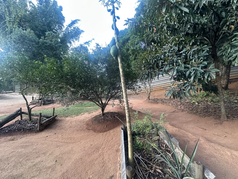Chácara a venda em Juiz de Fora: 29ª foto da galeria de imagens do imóvel