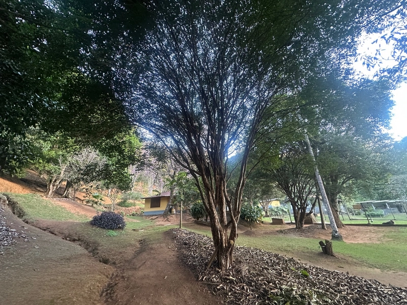 Chácara a venda em Juiz de Fora: 46ª foto da galeria de imagens do imóvel